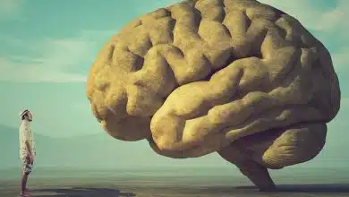 آیا مغز انسان «قدرت پیش‌بینی» دارد؟