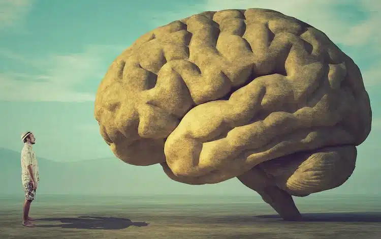 آیا مغز انسان «قدرت پیشبینی» دارد؟