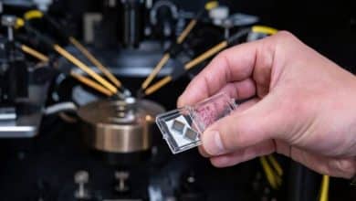 ترانس‌نورون: انقلابی در هوش مصنوعی با شبیه‌سازی چندمنظوره مغز