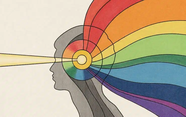 دانشمندان با کمک MRI افکار انسان را بازنویسی کردند