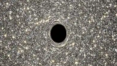 در چنگ تاریکی: اگر انسانی به درون سیاه‌چاله سقوط کند چه می‌شود؟