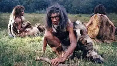 راز انقراض نئاندرتالها: یک مدل ریاضی جدید پاسخ میدهد