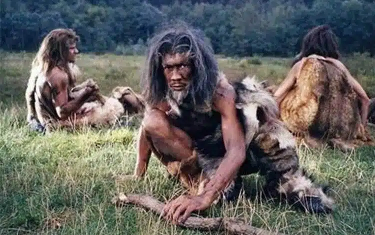 راز انقراض نئاندرتالها: یک مدل ریاضی جدید پاسخ میدهد