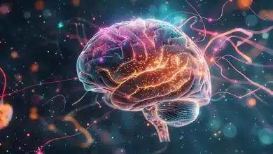 راز حواس‌پرتی پس از بی‌خوابی: هجوم ناگهانی مایع مغزی!