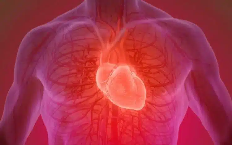 روند نزولی سلامت قلب از ۱۷ سالگی آغاز میشود