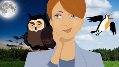 شب‌زنده‌داران باهوش‌ترند؟ حقایقی شگفت‌انگیز از تحقیقات جدید