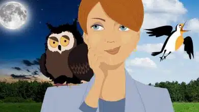 شبزندهداران باهوشترند؟ حقایقی شگفتانگیز از تحقیقات جدید