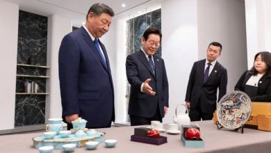 شوخی رؤسایجمهور چین و کرهجنوبی، دوباره بحث جاسوسی شیائومی را داغ کرد