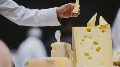 آیا پنیر پرچرب خطر زوال عقل را کاهش می‌دهد؟ بررسی نتایج یک مطالعه ۲۵ ساله