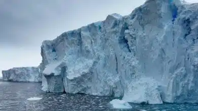 ربات گمشده در قطب جنوب با داده‌های نادر بازگشت