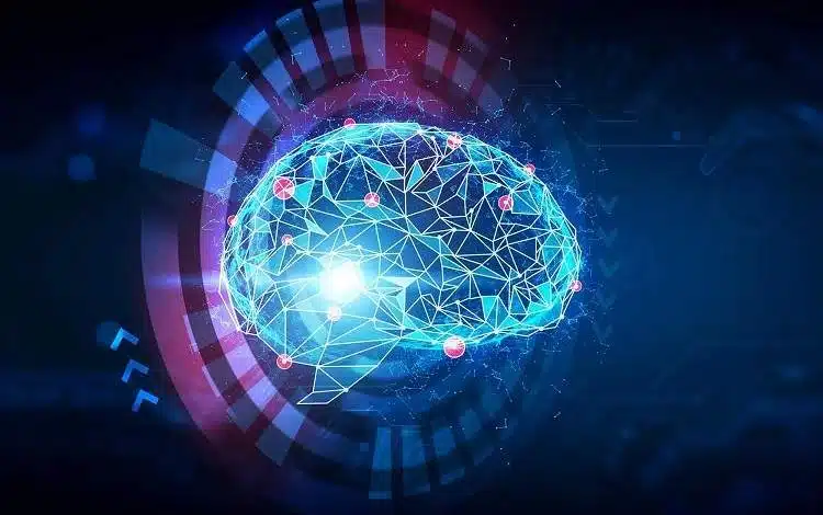 نتیجه پژوهش جانز هاپکینز: معماری مغز، میانبری برای هوش مصنوعی