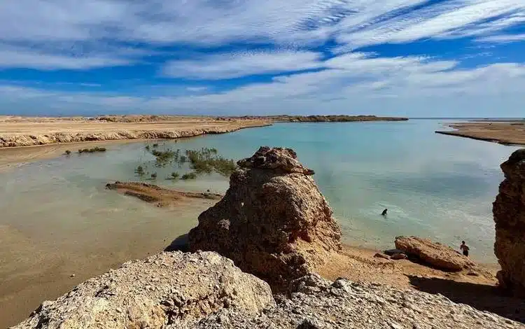 هشدار جدی سازمان جهانی هواشناسی درباره بحرانهای اقلیمی در منطقه عرب