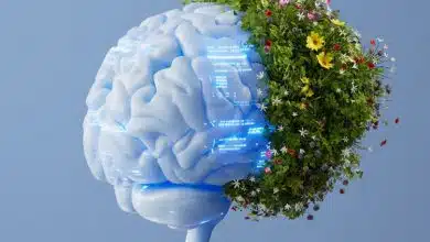 هوش مصنوعی جدید قوانین پنهان طبیعت را کشف می‌کند