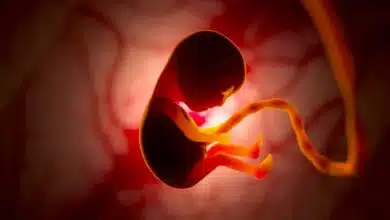 هوش مصنوعی دقت تشخیص مشکلات قلب جنین را افزایش میدهد