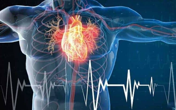 چهار عادت ساده که از حمله قلبی جلوگیری میکنند