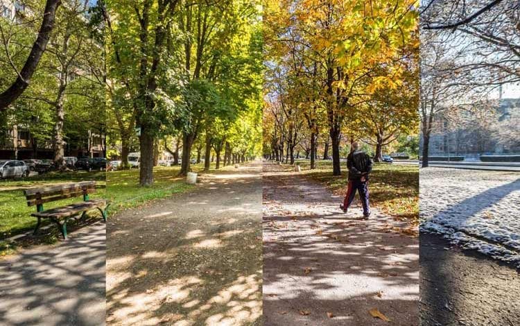 کشف ناهمزمانی فصول: راز تنوع زیستی