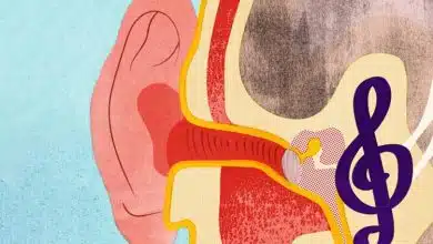 رازهای مغز: چرا آهنگ‌ها در ذهن شما گیر می‌کنند؟