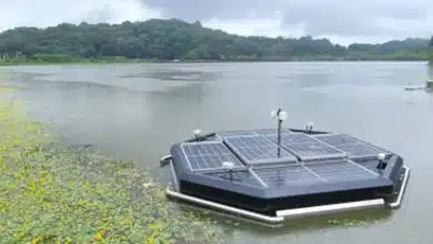 ربات‌های خودران به جنگ آلودگی آب می‌روند: راه‌حلی برای جلوگیری از ایجاد «مناطق مرده»