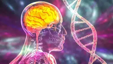 کشف بیش از ۱۵۰ سوئیچ ژنتیکی مرتبط با آلزایمر در سلولهای مغز