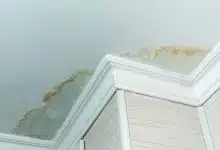 خانه‌های مرطوب و هوای آلوده: تهدید دوگانه برای آسم کودکان!