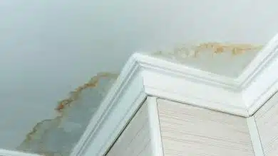 خانه‌های مرطوب و هوای آلوده: تهدید دوگانه برای آسم کودکان!