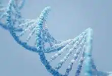 راز عمر طولانی، نهفته در ژن‌های ما