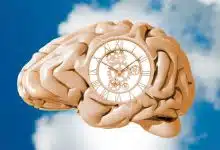 ساعت بیولوژیکی چگونه خطر چاقی و بیماری را افزایش میدهد؟