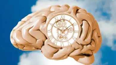 ساعت بیولوژیکی چگونه خطر چاقی و بیماری را افزایش می‌دهد؟