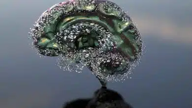 فقط ۲٪ کم‌آبی؛ تهدیدی جدی برای عملکرد مغز