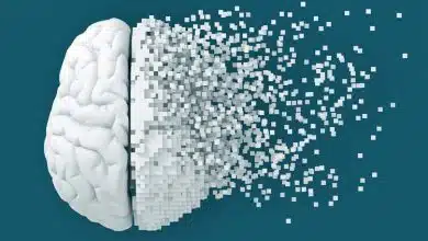 مهار پروتئین PTP1B؛ کلید جدید پاکسازی پلاک‌های مغزی در آلزایمر