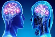 ناحیه‌ای یکسان از مغز که در زنان و مردان «متفاوت» کار می‌کند!