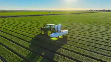 هوش مصنوعی کربن رباتیکس؛ تشخیص آنی گیاهان در مزارع