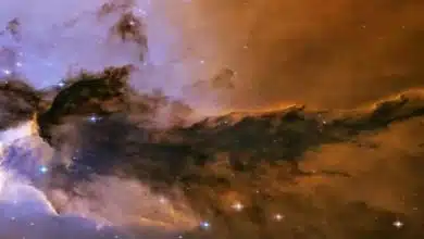 پژوهشگران کشف کردند: ساختارهای اولیه حیات در فضای عمیق تشکیل می‌شوند