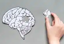 کشف روش جدید برای کند کردن افت حافظه در آلزایمر