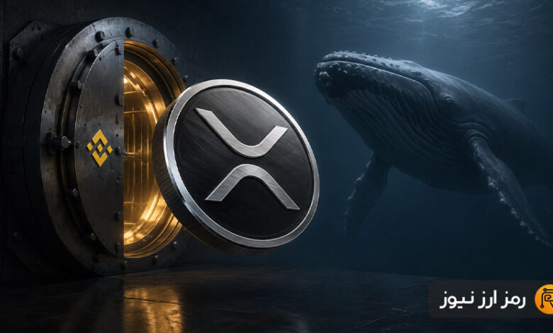 برداشت ۲۳۱ میلیون ریپل از بایننس توسط نهنگها؛ قیمت XRP دوباره به ۲ دلار میرسد؟