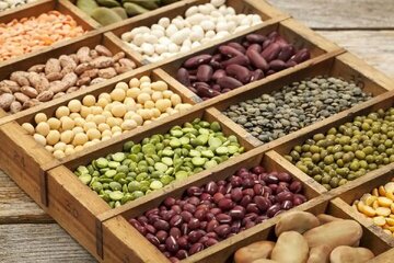رئیس انجمن حبوبات: قیمت حبوبات تا آخر سال ثابت میماند