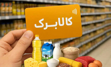زمان واریز مرحله جدید کالابرگ اعلام شد/ مشمولان چه کسانی هستند؟