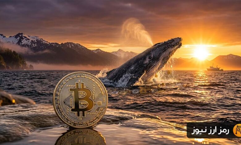 نهنگ خفته بیتکوین پس از دو سال بیدار شد؛ جابهجایی ۱۱۲ میلیون دلاری BTC