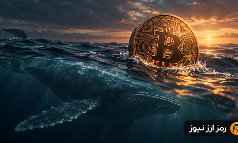 انباشت ۱۱۴ هزار بیتکوین توسط نهنگها در میانه رالی بازار؛ سد ۹۰ هزار دلار میشکند؟