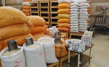 برنج هاشمی، طارم، عنبر بو و شیرودی کیلویی چند؟ + جدول قیمت انواع برنج ایرانی
