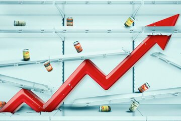 شقاقی: آمارهای تورمی نیز تصویری نگرانکننده از وضعیت اقتصاد ارائه میدهد