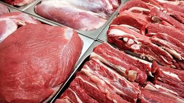 قیمت جدید دامزنده اعلام شد/ پوریان: گوشت گوسفندی وارداتی با قیمت یک میلیون و ۱۰۰ هزار تومان عرضه میشود