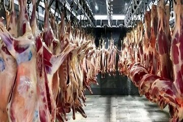 قیمت گوشت قرمز امروز ۲۷ شهریور ۱۴۰۵/ ران گوساله و گوسفندی کیلویی چند شد؟ + جدول