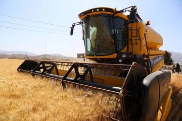 واکنش گندمکاران به پرداخت قطرهچکانی مطالبات / بیچاره کشاورز،پول گندم خوردن ندارد / اگر قسط وام را دیر بدهیم چقدر جریمه میشویم؟