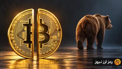 بررسی الگوهای تاریخی هاوینگ؛ چرا تحلیلگران به پایان بازار خرسی امیدوارند؟