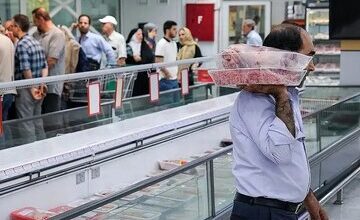 قیمت دامزنده امروز ۲۹ مهر ۱۴۰۵/ گاومیش کیلویی ۶۰۰ هزار تومان قیمت خورد