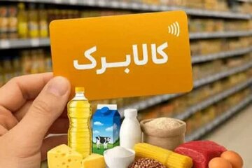 مجری طرح کالابرگ: تصمیمگیری درباره افزایش رقم کالابرگ هنوز نهایی نشده است