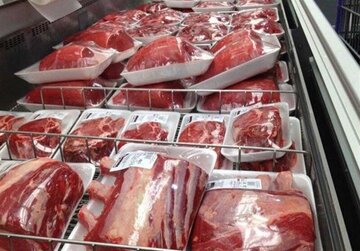 واکنش رییس شورای تامین دام به خبر مجوز عرضه گوشت الاغ و اسب در بازار/ پوریان: با فروشندگان گوشت الاغ برخورد میشود